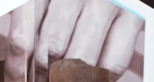 OYSIPA under Folami: A new era of economic development in Oyo state