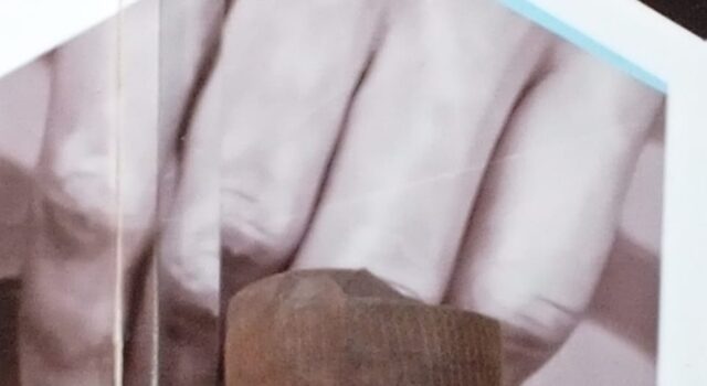 OYSIPA under Folami: A new era of economic development in Oyo state