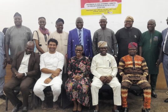 Oyo health stakeholders, USA, UNICEF brainstorm on preventing malnutrition in infant, pregnant women