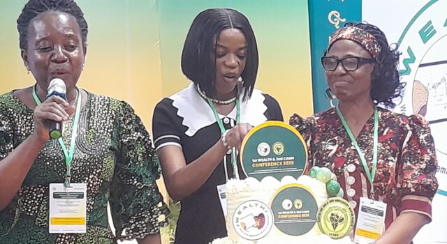 Stakeholders call for robust data to tackle adolescent girls mental health crisis in Nigeria