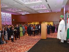 Nigeria at 66: The patience of a people, the vigilance of a citizen